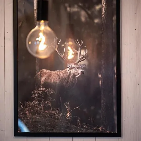 Дом отдыха Wynki No. 69 *