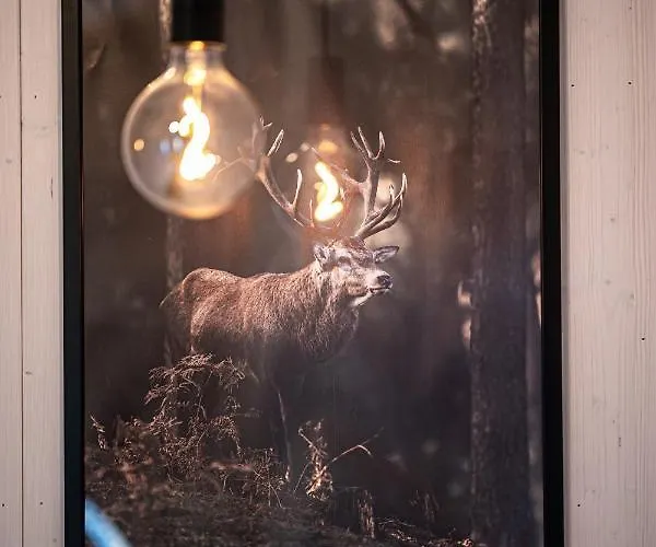 Prázdninový dům Wynki No. 69 *