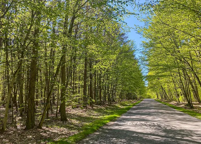 Wynki No. 69 Prázdninový dům *